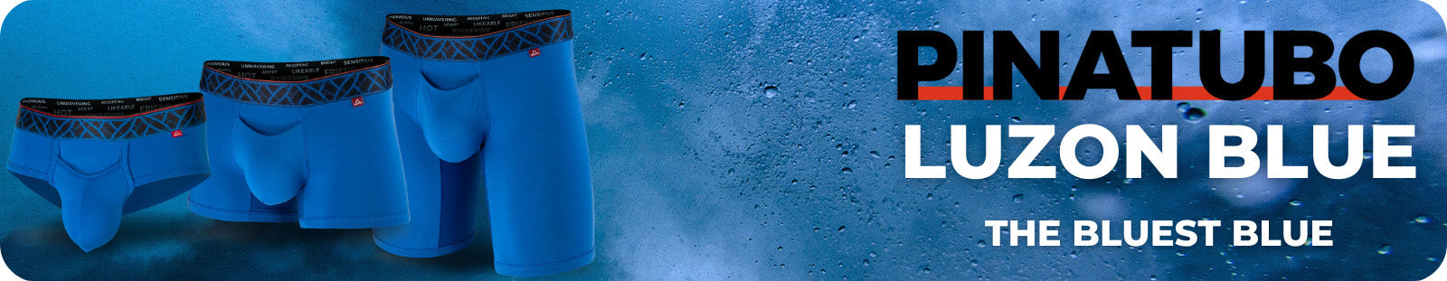 Luzon Blue Banner featuring briefs, trunks, and boxer briefs from the Pinatubo line.