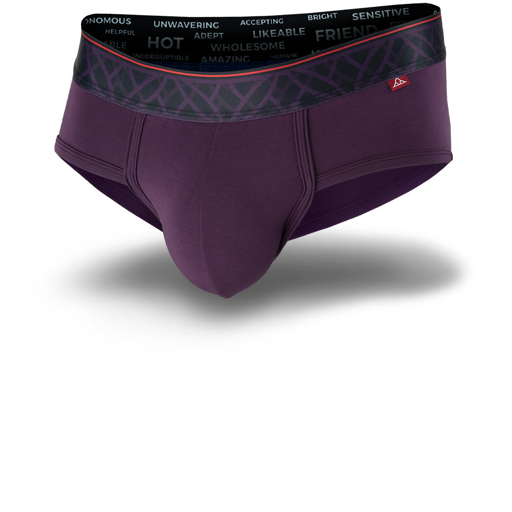 Royal Purple men's briefs featuring a contoured Pouch for support without a fly, a grey patterned waistband. Front Image.