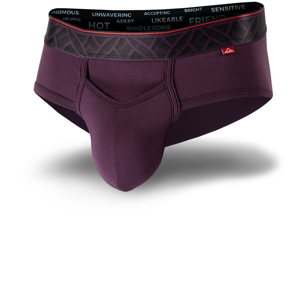 Royal Purple men's briefs with black patterned waistband and horizontal fly. Front Image.