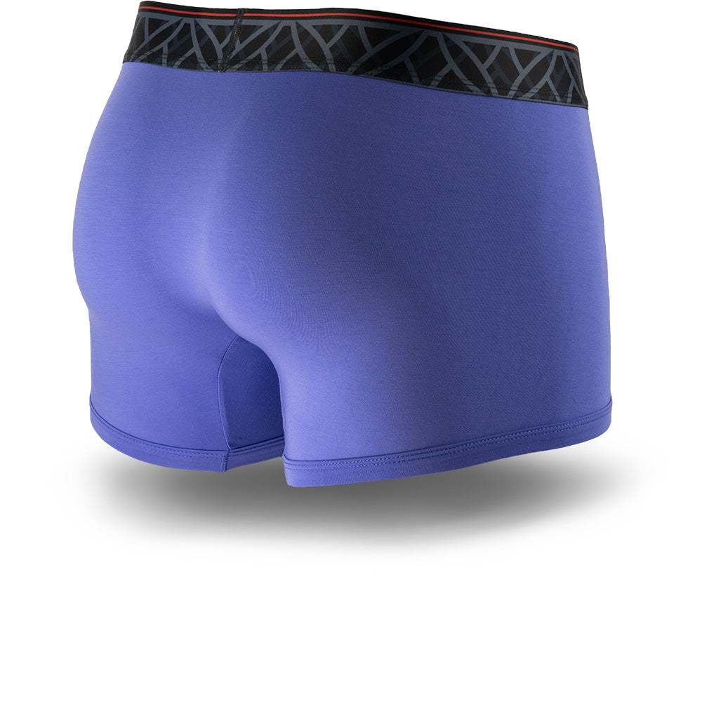 Glacier Blue men's trunks featuring a contoured Pouch for support without a fly, a grey patterned waistband. and a 2" inseam. Back Image.