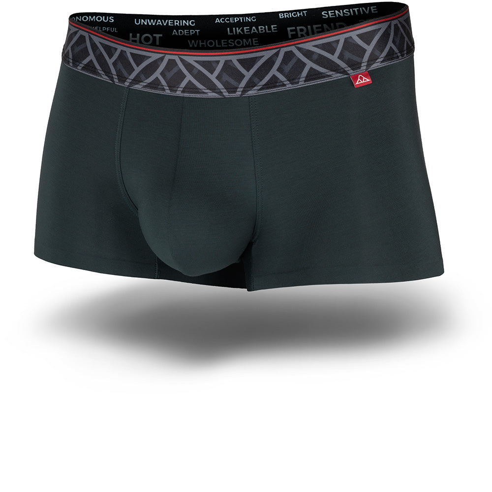 Black boxer briefs with a patterned waistband on a white background