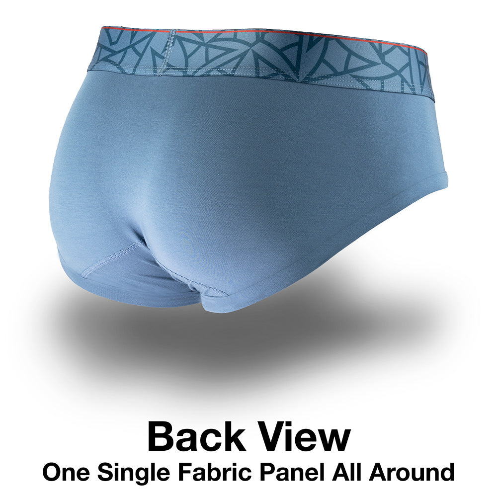 Haleakala Brief Back View