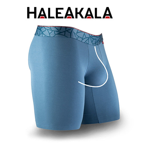 Blue athletic shorts with a patterned waistband on a white background, featuring the Haleakala brand.